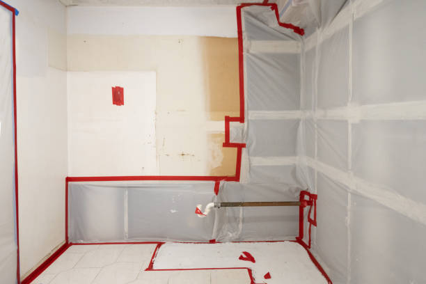 Best Mold Prevention Services  in Gibsonville, NC